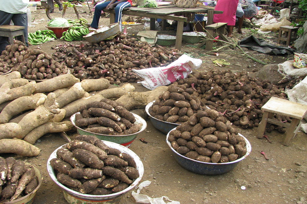 yams market